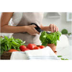 Woman,Picking,Fresh,Basil,At,White,Table,In,Kitchen,,Closeup